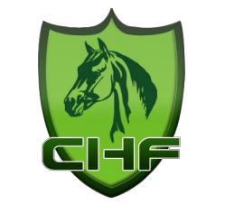 2025ʮЇHRIRgչ[